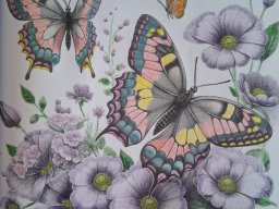 whatsapp bild 2025-10-30 um 11.02.17_096407b0